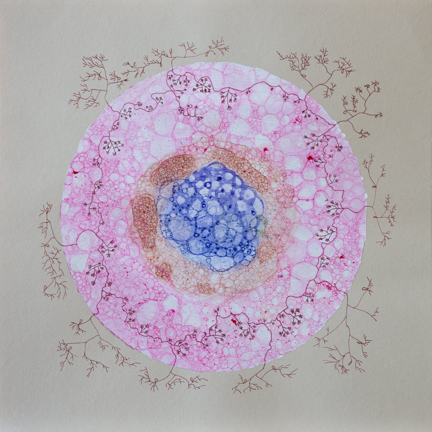 A paler pink circle of bubble-formed cells on a warm grey ground, rust and blue at the centre, dark red branching threads running through it and out beyond the rim